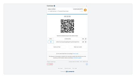 CoinGate Checkout Experience and Payment Flow